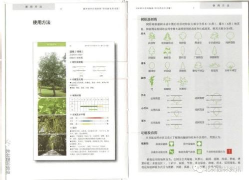 書(shū)訊丨《園林樹(shù)木應(yīng)用指南 華北西北東北篇》——“十三五”國(guó)家重點(diǎn)出版物正式出版